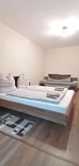 Apartament cu 2 camere decomandat în Băile Felix