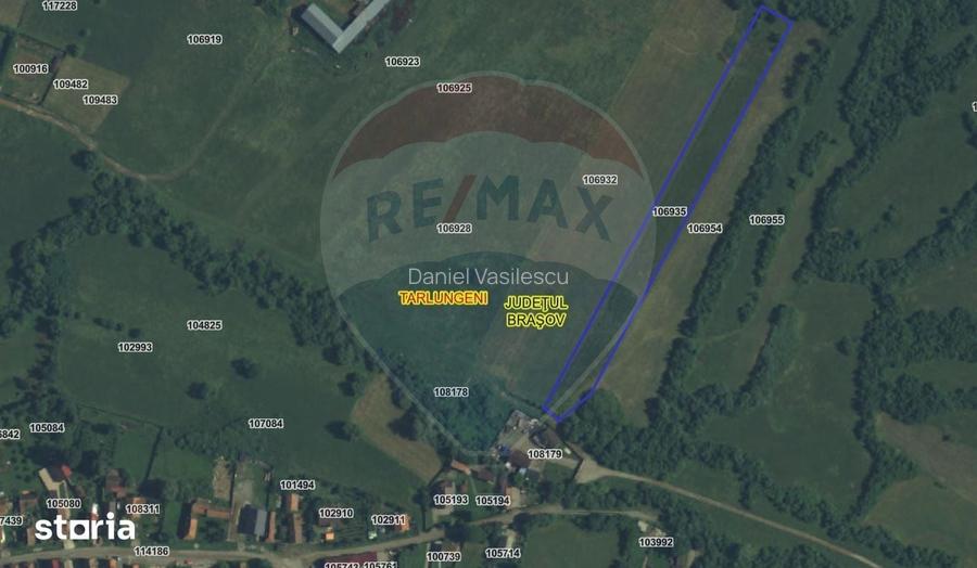 Teren 5.800 mp Purcareni curent, gaz, apa / Strada 30 decembrie