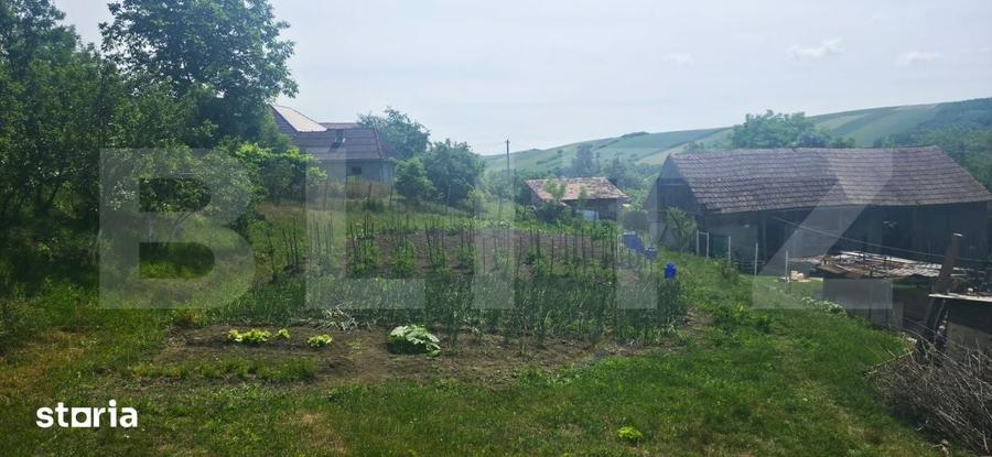 Casă cu 3 camere cu Teren 4700 Mp în Șieu