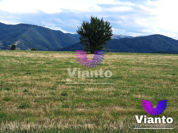 Teren agricol extravilan de 6200 mp, în Rășinari