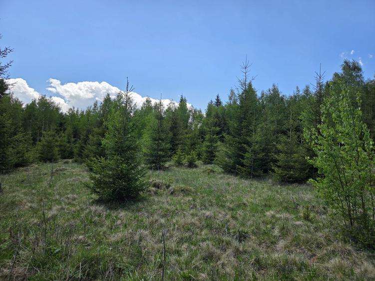Vand teren Panaci - 3