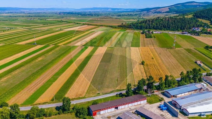 Teren agricol extravilan de 7000 mp, în Teliu