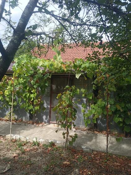 Casă cu 3 camere în Central