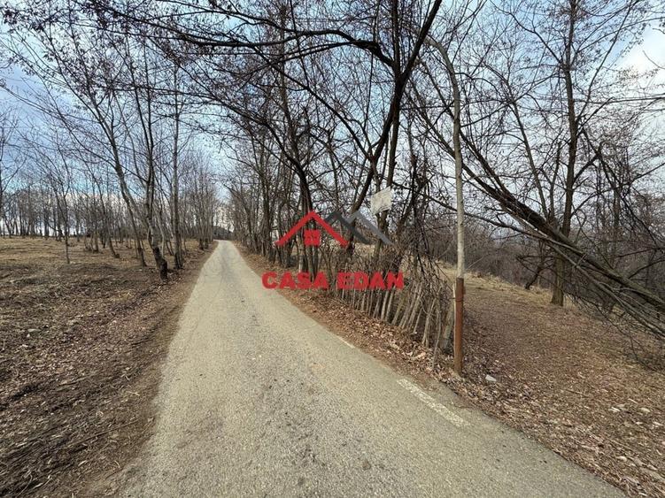 Casă cu Teren 3074 Mp în Cornu