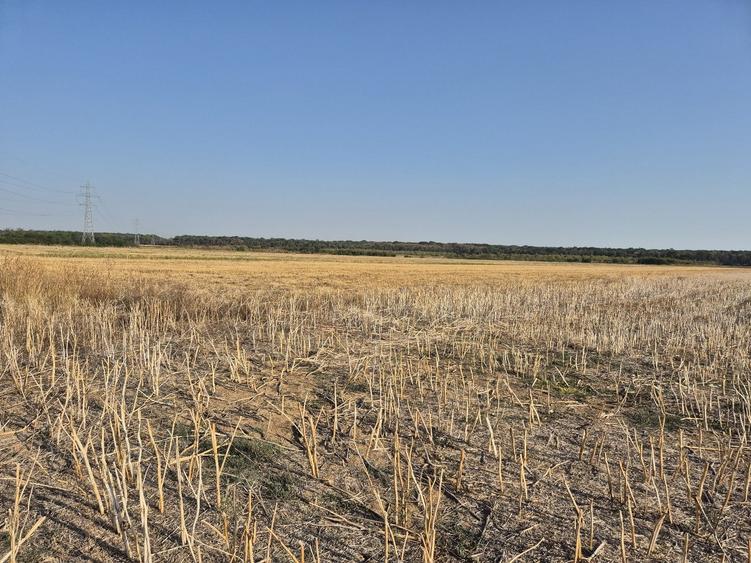 Teren agricol intravilan de 22400 mp, în Periș