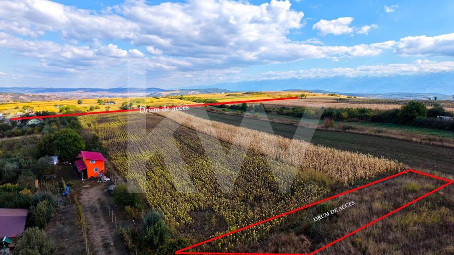 Teren agricol extravilan de 5000 mp, în Daia