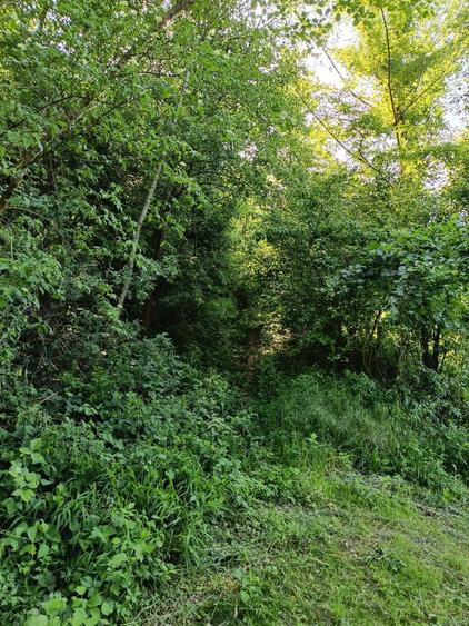 Teren de 844 mp, în Sălătrucel