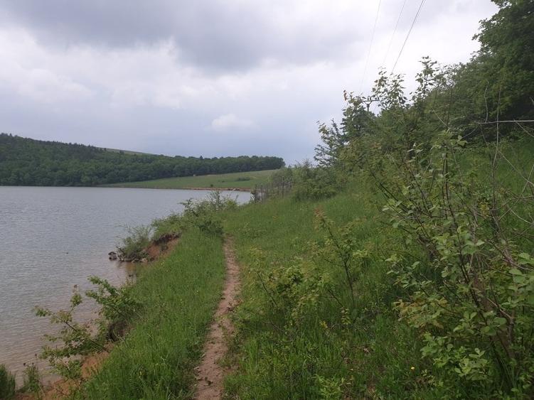 Teren Construcții intravilan de 5800 mp, în Pădureni