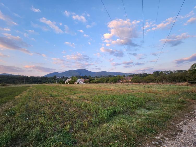 Teren Construcții intravilan de 8200 mp, în Alexandru cel Bun