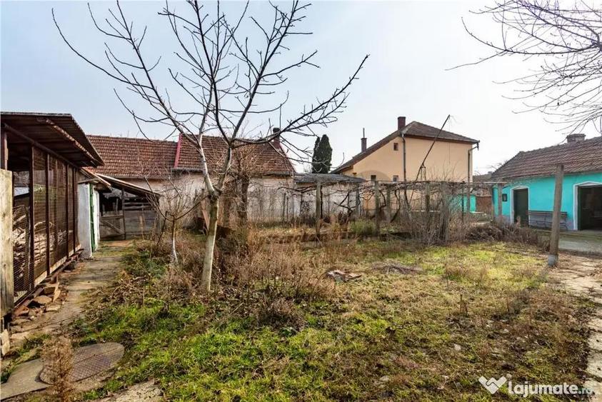 RECO Casa cu teren 3036mp, Bors - 9