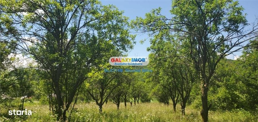 Spațiu comercial, în Bârloi
