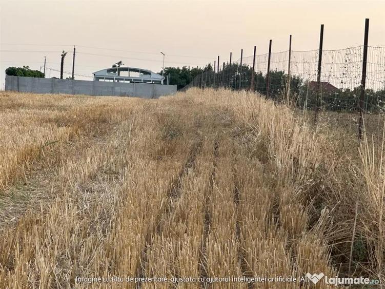 Teren de 2500 mp, în Bălăceanca