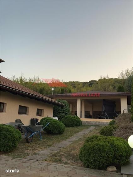 Casă cu 4 camere cu Teren 8000 Mp în Mintiu Gherlii