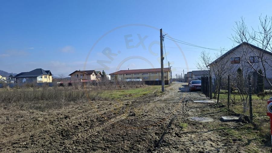 Teren Construcții intravilan de 3633 mp, în Ștefănești