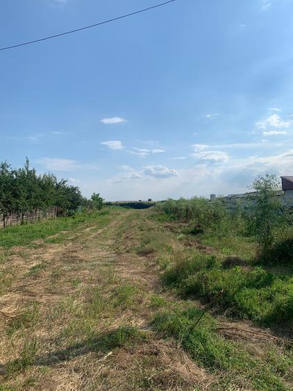 Teren Construcții intravilan de 3487 mp, în Petrăchioaia