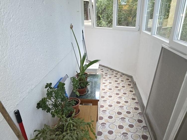 Pantelimon, Bd. Chisinau, Diham, Parcul National, semistradal - 16
