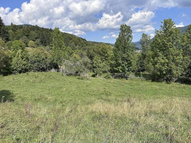 Teren de 5900 mp, în Trăisteni