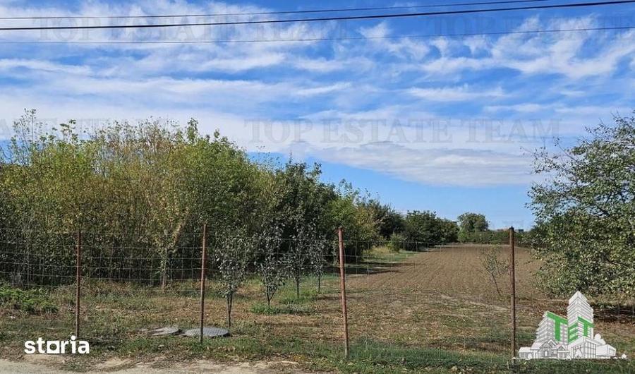 Teren de 2431 mp, în Măgurele