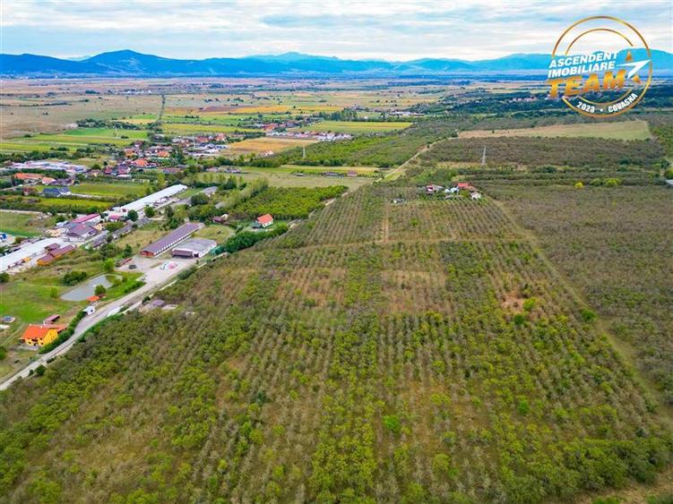 Teren Construcții extravilan de 6510 mp, în Simeria
