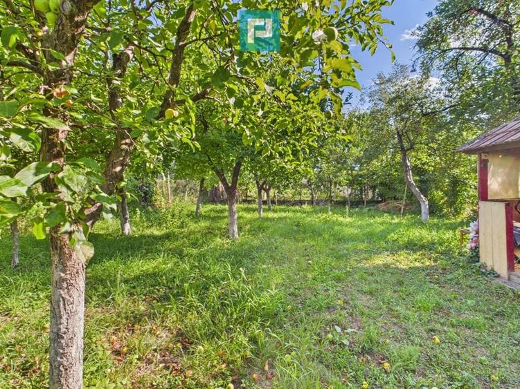 Casă cu 4 camere cu Teren 1007 Mp în Central