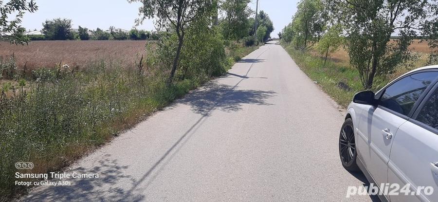 Teren de 5000 mp, în Balotești
