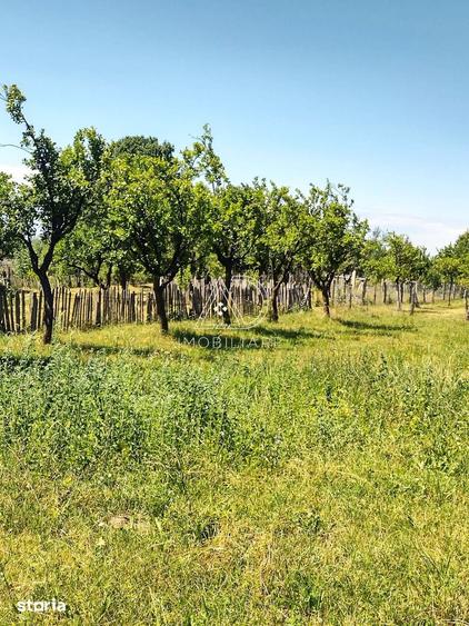 Casă cu 4 camere cu Teren 257 Mp în Crasna