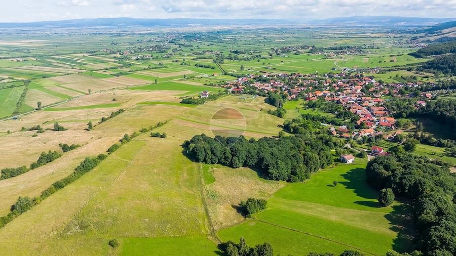 Casă cu Teren 16873 Mp în Mărcuș