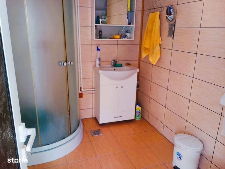 Casă cu 3 camere cu Teren 4302 Mp în Pleșoiu