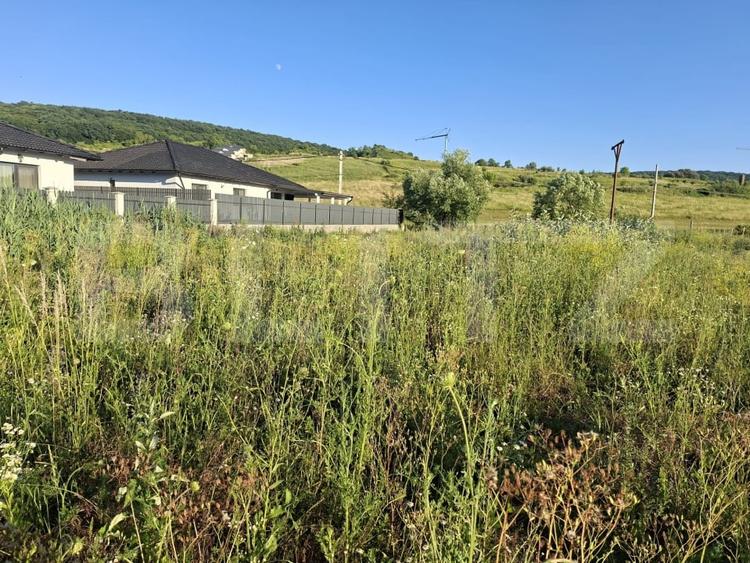 Teren Construcții intravilan de 1000 mp, în Livezeni