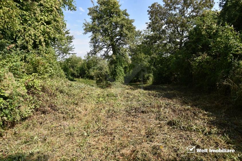 Casă individuală cu 2 camere cu Teren 1547 Mp în Gheorghieni