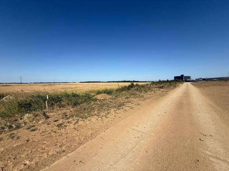 Teren agricol extravilan de 6154 mp, în Sânmartin