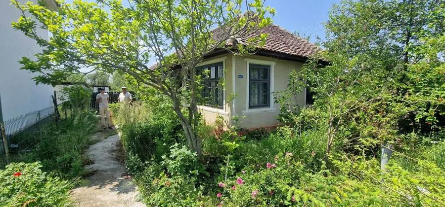Casă cu 3 camere cu Teren 1853 Mp în Devesel