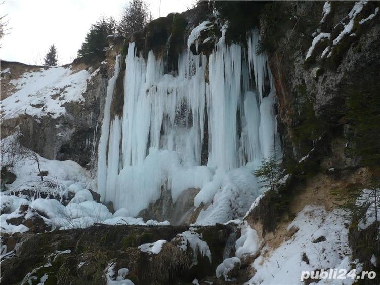 Teren de 2800 mp, în Vidra
