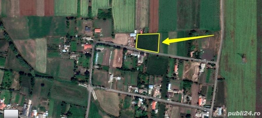 Teren de 3000 mp, în Frecăței