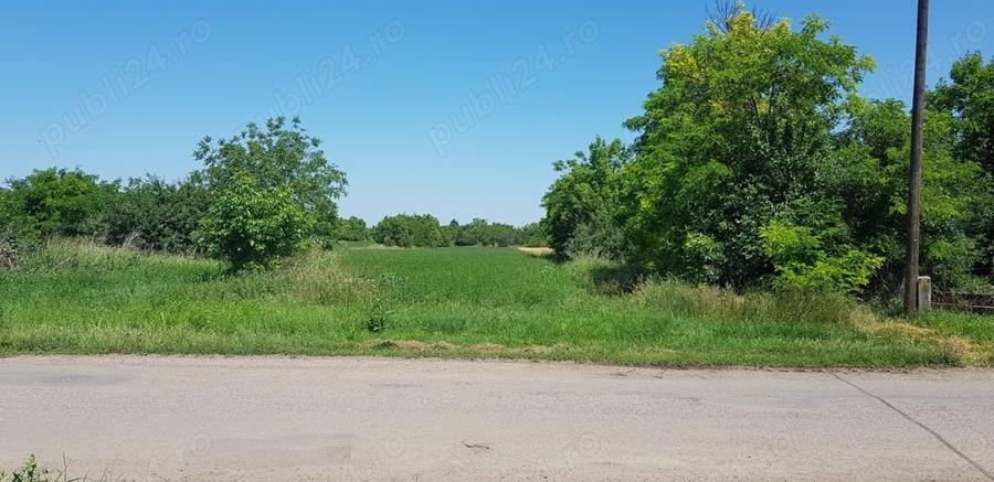 Teren de 8300 mp, în Turnu