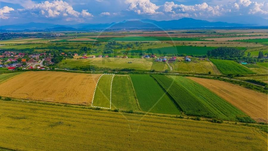 Teren agricol extravilan de 10800 mp, în Rotbav