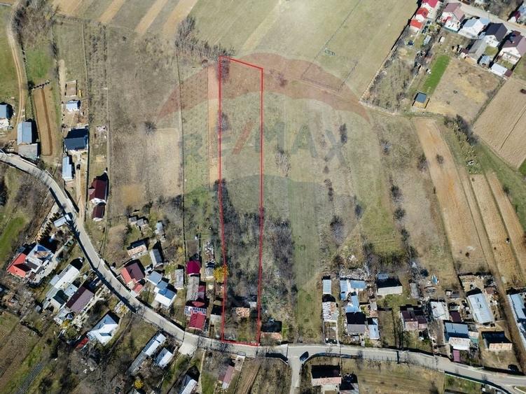 Teren Construcții intravilan de 3800 mp, în Burdujeni