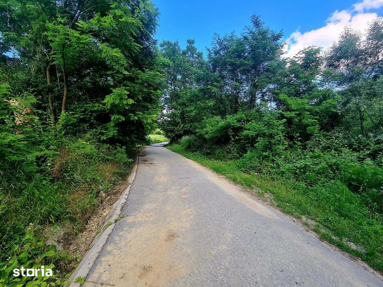 Teren de 453 mp, în Bujoreni