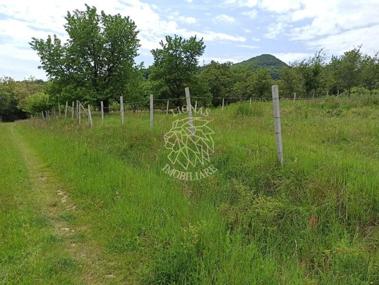 Teren agricol extravilan de 1000 mp, în Nord