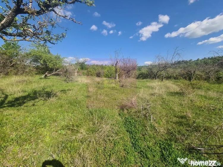 Teren de 2500 mp, în Voila