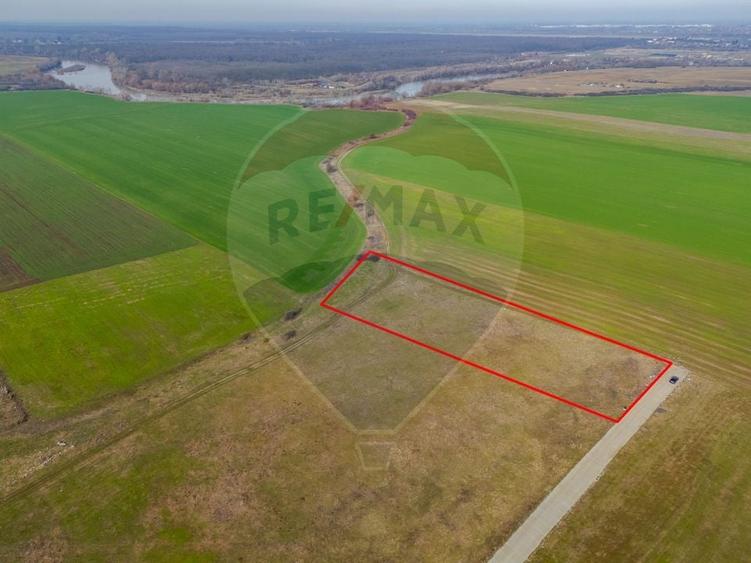 Teren Construcții intravilan de 10000 mp, în Sud