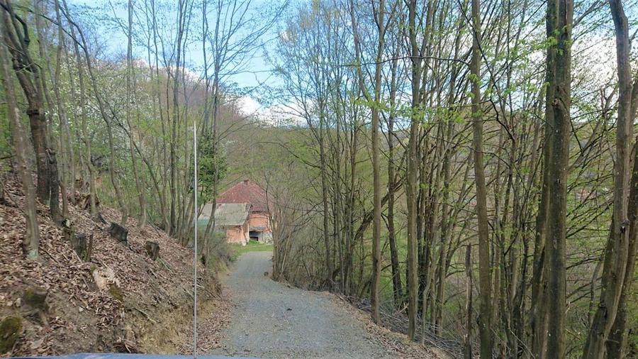 Teren Construcții intravilan de 69237 mp, în Crișcior