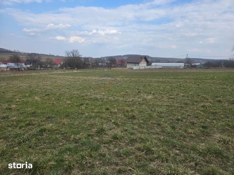 Teren de 4000 mp, în Mitocu Dragomirnei