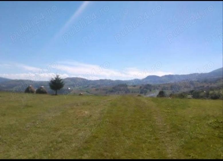 Teren de 10004 mp, în Vișagu
