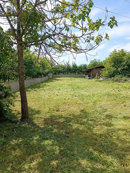 Casă cu 2 camere cu Teren 3500 Mp în Central