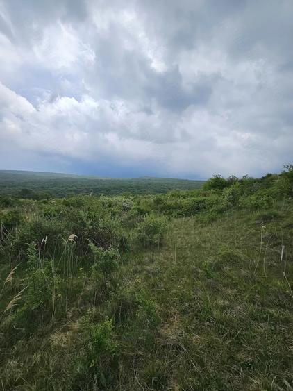Teren de 2900 mp, în Corușu