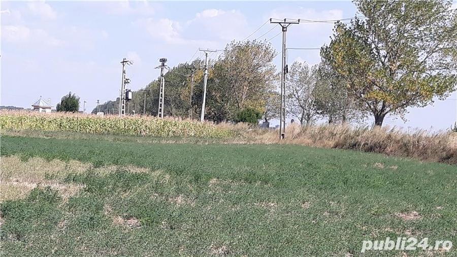 Teren de 5000 mp, în Central