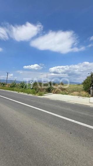 Teren de 3900 mp, în Pianu