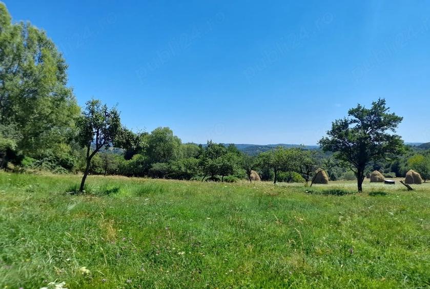 vand teren cu casa, in zona pitoreasca fara poluare fonica - 6