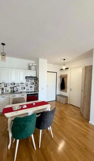 Apartament cu 2 camere semidecomandat, mobilat în Domenii